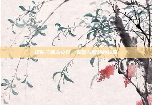 塔防三国志安民,策略与智慧的较量