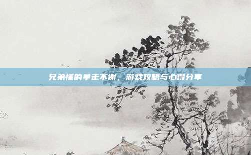 兄弟懂的拿走不谢，游戏攻略与心得分享