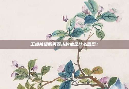 王者荣耀服务器未响应是什么意思?