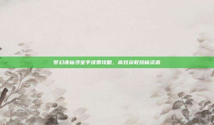 梦幻诛仙寻宝手续费攻略,高效获取珍稀资源
