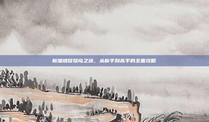 新加坡冒险岛之旅,从新手到高手的全面攻略