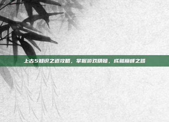 上古5知识之道攻略,掌握游戏精髓,成就巅峰之路