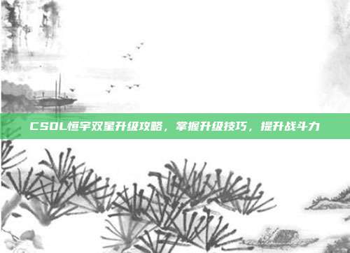 CSOL恒宇双星升级攻略,掌握升级技巧,提升战斗力