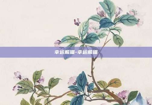 幸运熊猫-幸运熊猫