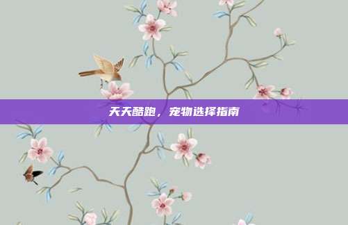 天天酷跑,宠物选择指南