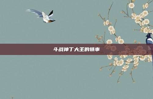 斗战神丁大王的轶事