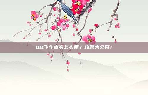 QQ飞车点券怎么用?攻略大公开!