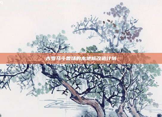 古罗马斗兽场的木地板改造计划