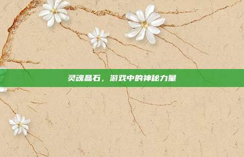 灵魂晶石，游戏中的神秘力量