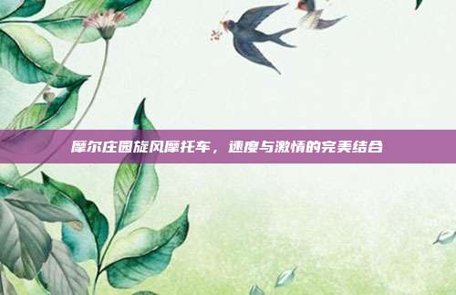 摩尔庄园旋风摩托车,速度与激情的完美结合