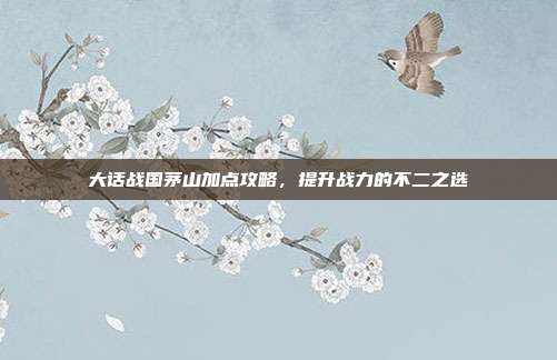 大话战国茅山加点攻略,提升战力的不二之选