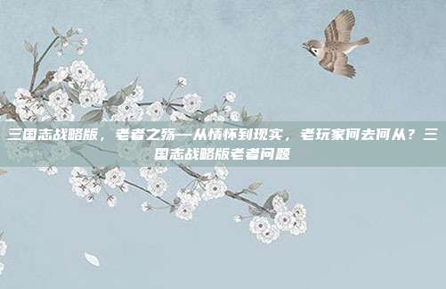 三国志战略版，老者之殇—从情怀到现实，老玩家何去何从？三国志战略版老者问题
