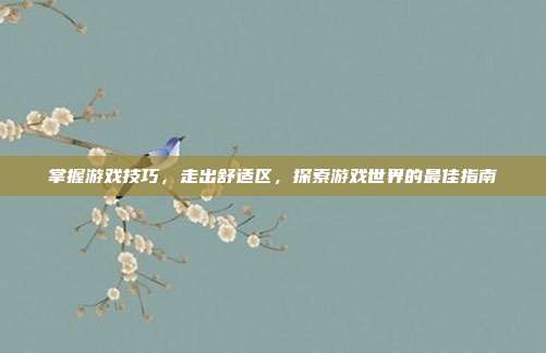 掌握游戏技巧,走出舒适区,探索游戏世界的最佳指南