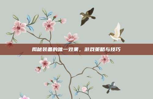揭秘装备的唯一效果,游戏策略与技巧