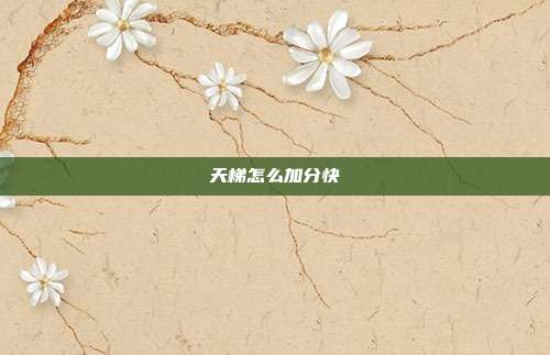 天梯怎么加分快