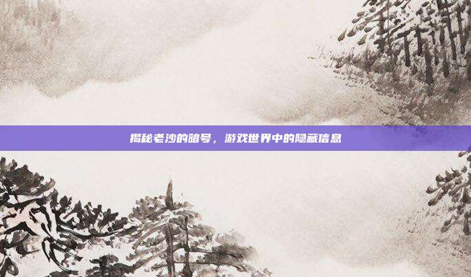 揭秘老沙的暗号,游戏世界中的隐藏信息