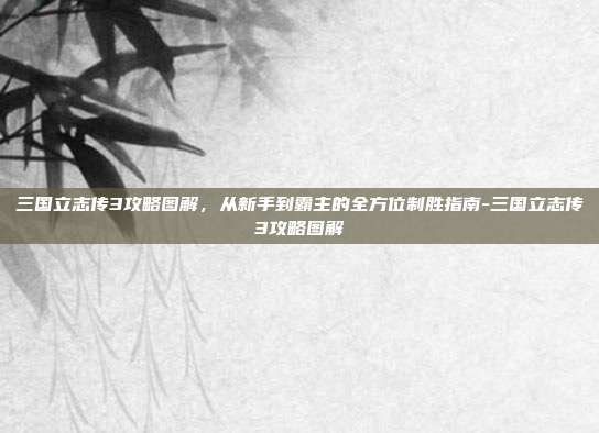三国立志传3攻略图解，从新手到霸主的全方位制胜指南-三国立志传3攻略图解