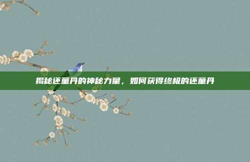 揭秘还童丹的神秘力量,如何获得终极的还童丹