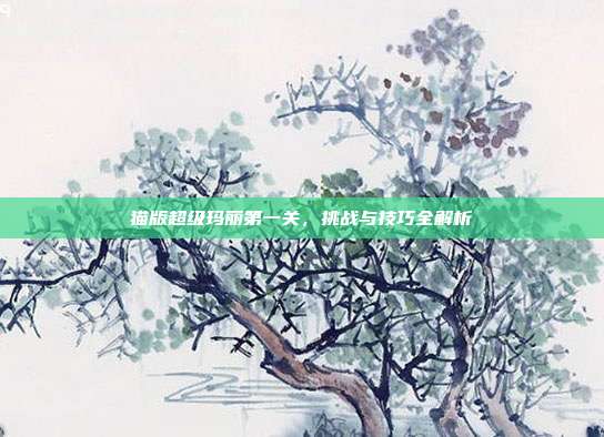 猫版超级玛丽第一关,挑战与技巧全解析