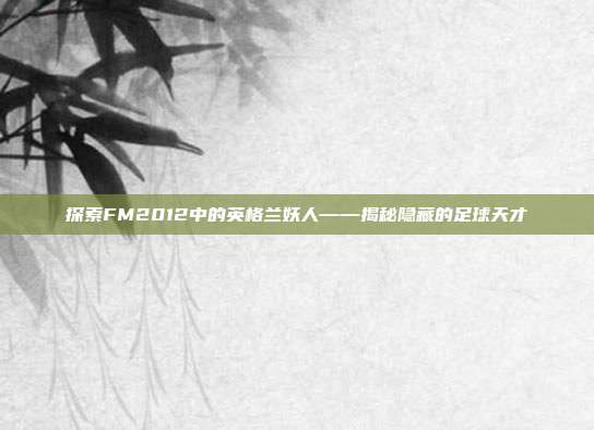 探索FM2012中的英格兰妖人——揭秘隐藏的足球天才