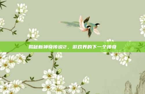 揭秘新神奇传说2,游戏界的下一个传奇