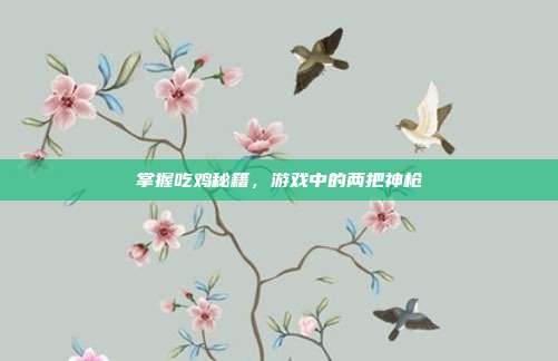 掌握吃鸡秘籍，游戏中的两把神枪