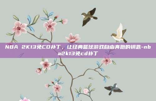 NBA 2K13免CD补丁，让经典篮球游戏自由奔跑的钥匙-nba2k13免cd补丁