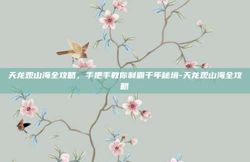 天龙观山海全攻略，手把手教你制霸千年秘境-天龙观山海全攻略