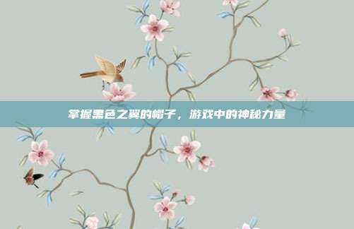 掌握黑色之翼的帽子,游戏中的神秘力量