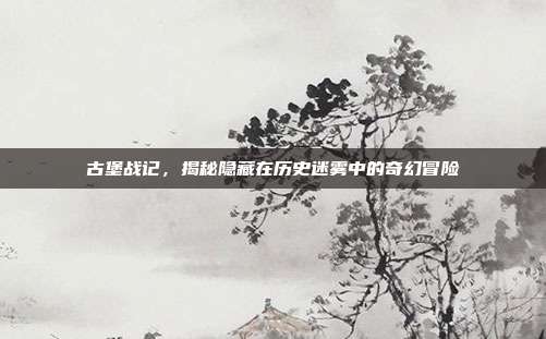古堡战记,揭秘隐藏在历史迷雾中的奇幻冒险
