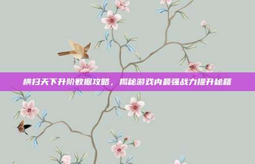 横扫天下升阶数据攻略,揭秘游戏内最强战力提升秘籍