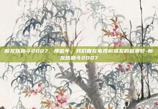 新龙珠格斗2007，那些年，我们曾在电视前爆发的超赛梦-新龙珠格斗2007