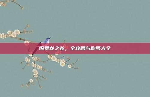 探索龙之谷,全攻略与称号大全