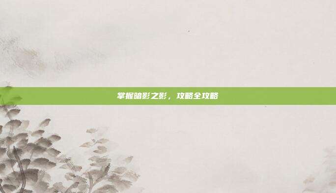 掌握暗影之影，攻略全攻略