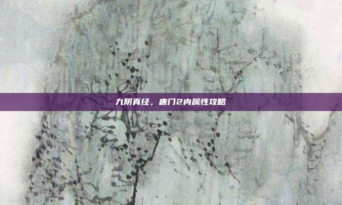 九阴真经，唐门2内属性攻略