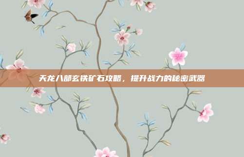 天龙八部玄铁矿石攻略，提升战力的秘密武器