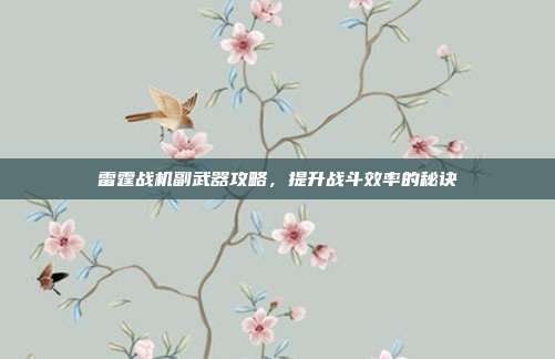 雷霆战机副武器攻略，提升战斗效率的秘诀