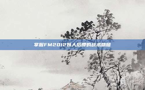 掌握FM2012妖人后腰的战术精髓