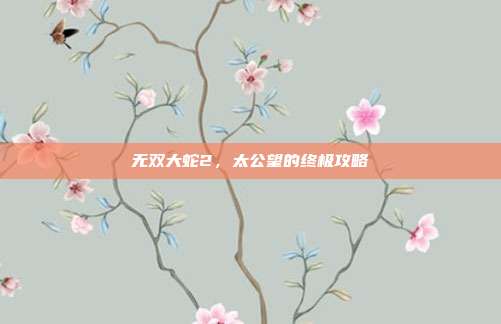 无双大蛇2，太公望的终极攻略