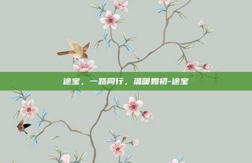 途宝，一路同行，温暖如初-途宝