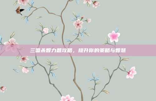三国杀智力题攻略，提升你的策略与智慧