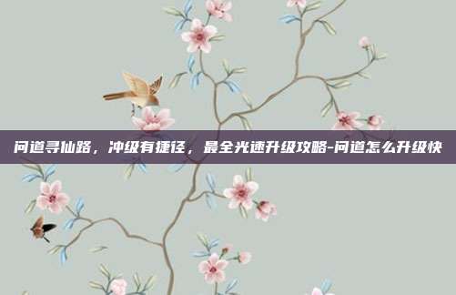 问道寻仙路，冲级有捷径，最全光速升级攻略-问道怎么升级快