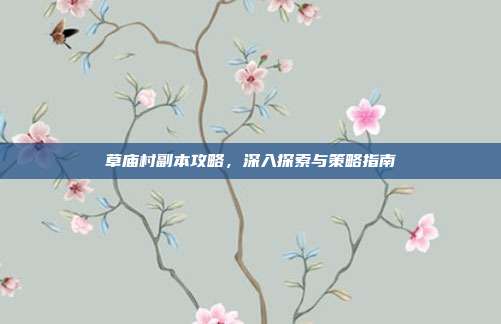 草庙村副本攻略，深入探索与策略指南