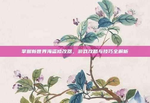 掌握新世界海盗修改器，游戏攻略与技巧全解析
