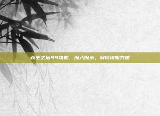 领主之塔SS攻略，深入探索，解锁终极力量