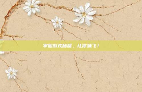 掌握游戏秘籍，让你妹飞！