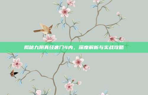 揭秘九阴真经唐门4内，深度解析与实战攻略