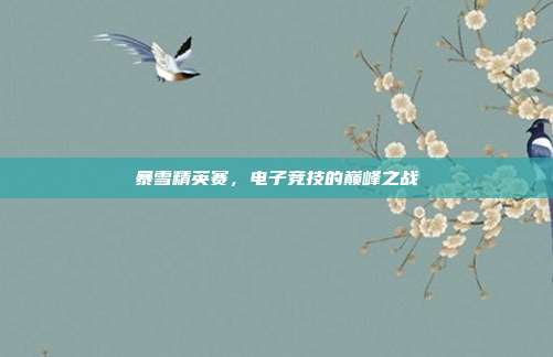 暴雪精英赛，电子竞技的巅峰之战