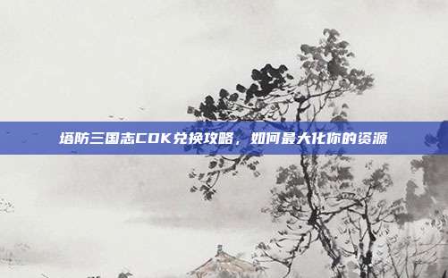 塔防三国志CDK兑换攻略，如何最大化你的资源