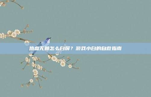 热血无赖怎么白屏？游戏小白的自救指南